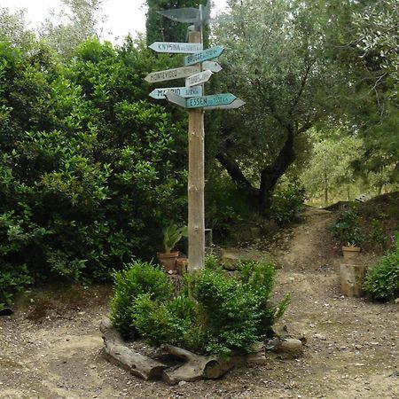 Casa Rural Torre De Campos Ainzon Екстериор снимка